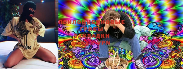 твердый Зерноград