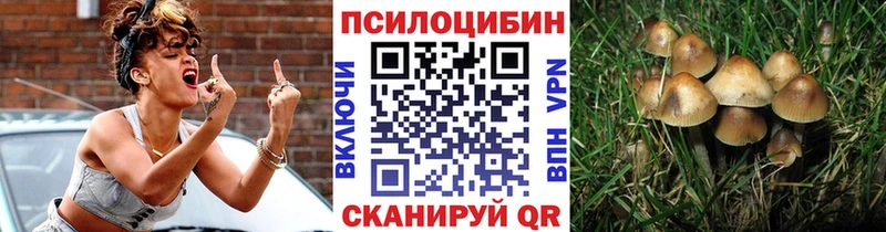 Купить  Балей  Галлюциногенные грибы мухоморы 